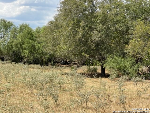 1039 County Road 232