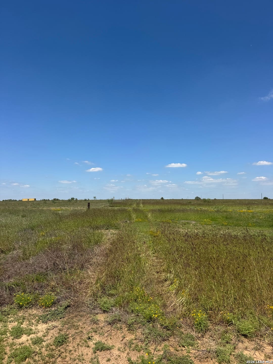 2731 Atascosa County Road 101
